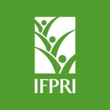IFPRI Delivery and Demand Creation Individual Consultant Jobs
