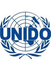 UNIDO National Gender Expert Jobs