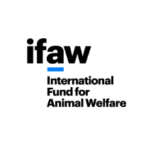 IFAW Program Manager Jobs 2024 – South Africa NGO Jobs